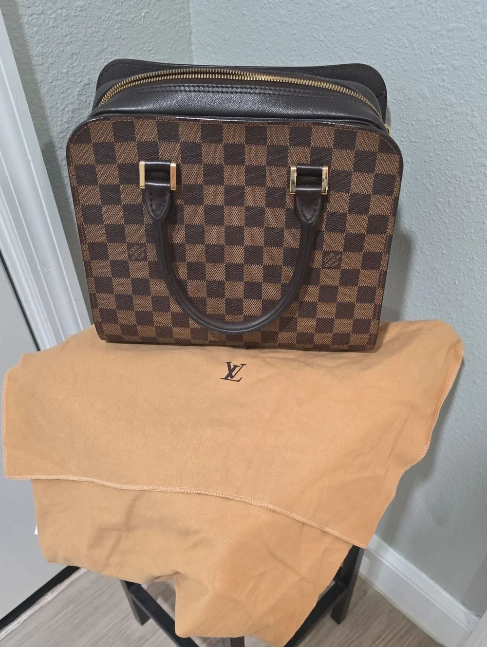 Louis Vuitton Purse